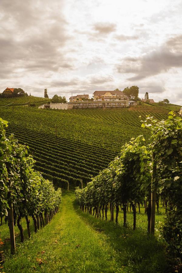 Weinrefugium Brolli Gamlitz Exterior foto