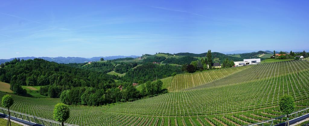 Weinrefugium Brolli Gamlitz Exterior foto